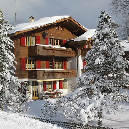 Haus Klopfenstein Апартаменты *